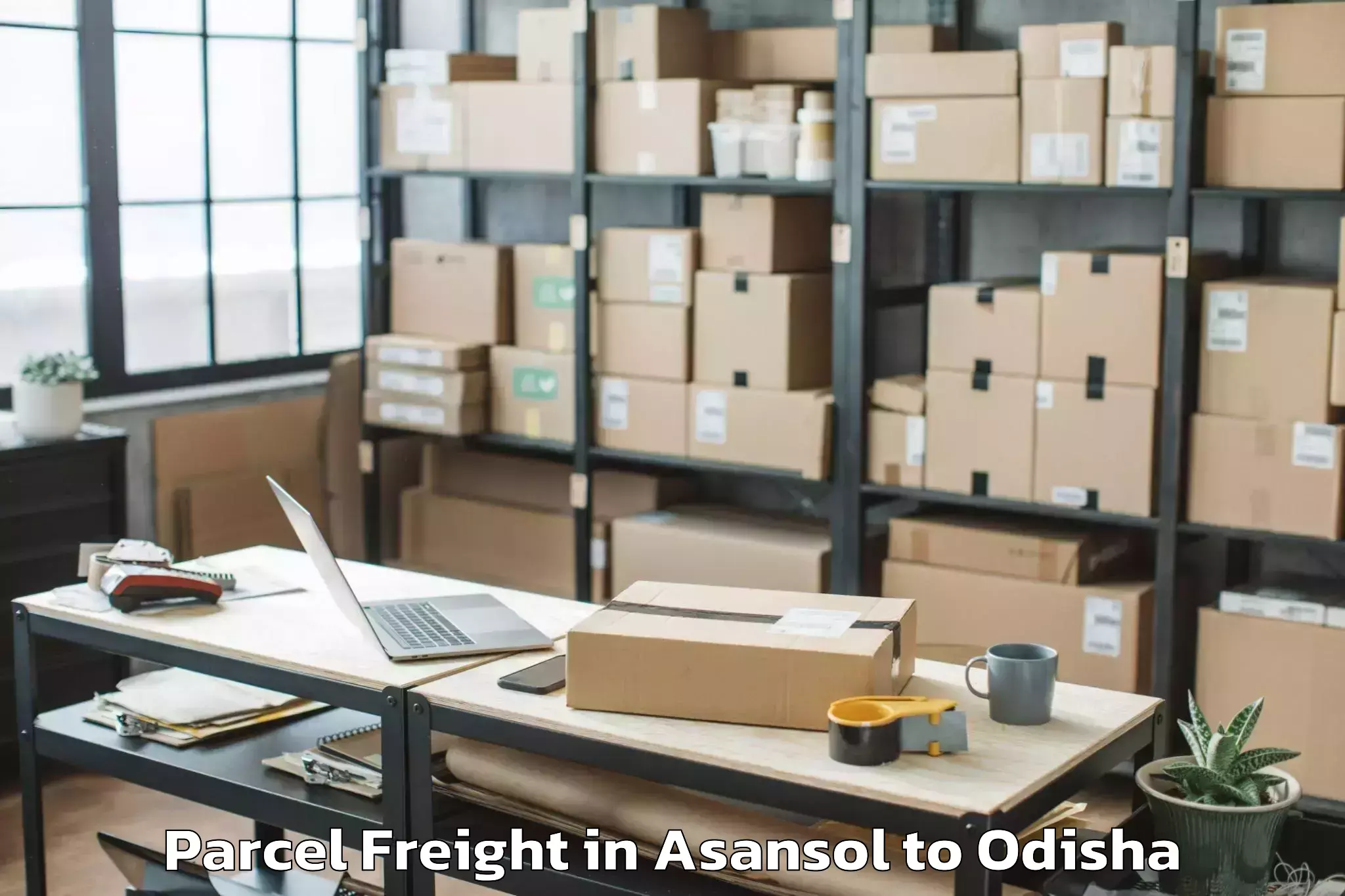 Discover Asansol to Sri Sri University Cuttack Parcel Freight